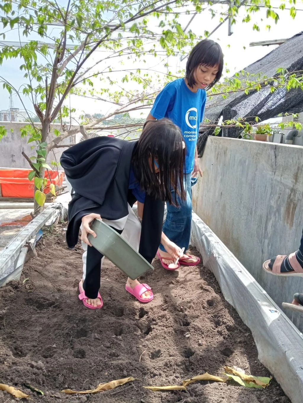 Joy, Wonder, and a Lifelong Love of Learning